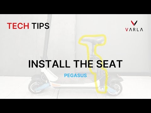 Pegasus Seat