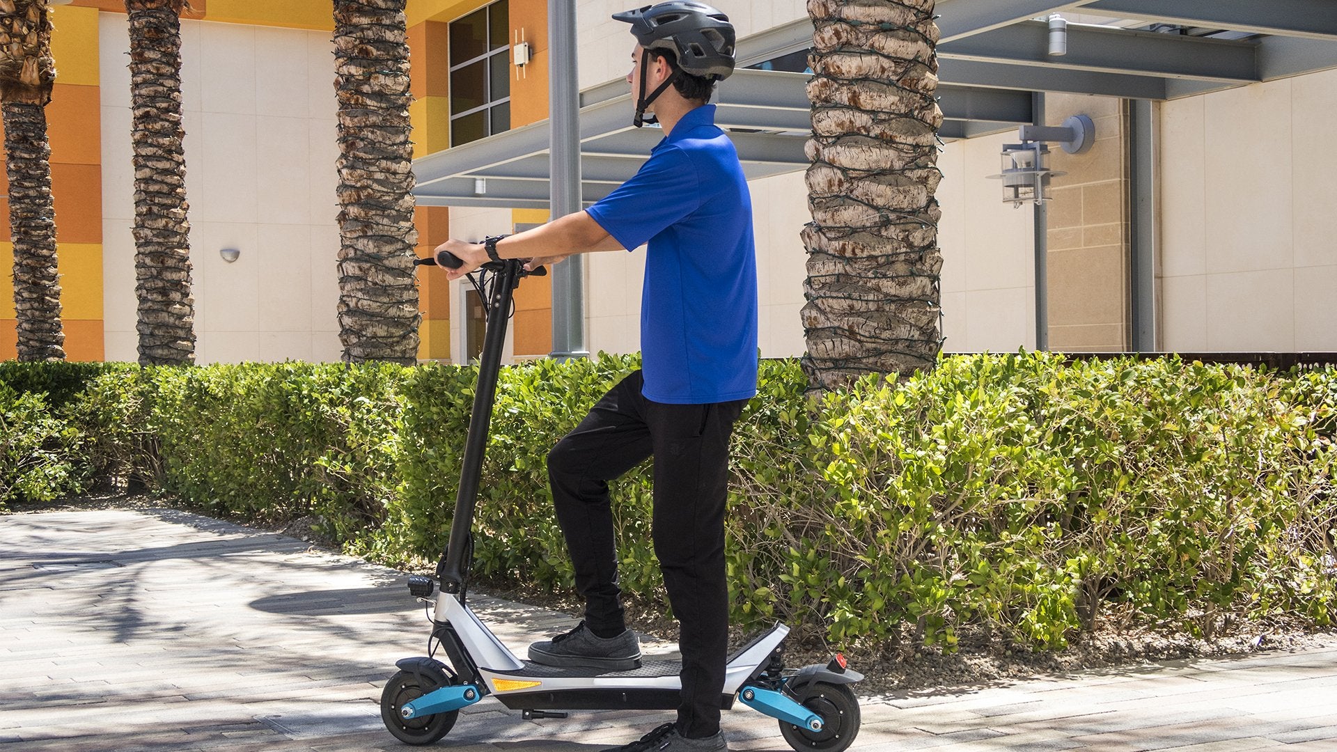 What is the Best Electric Scooter for Adults?