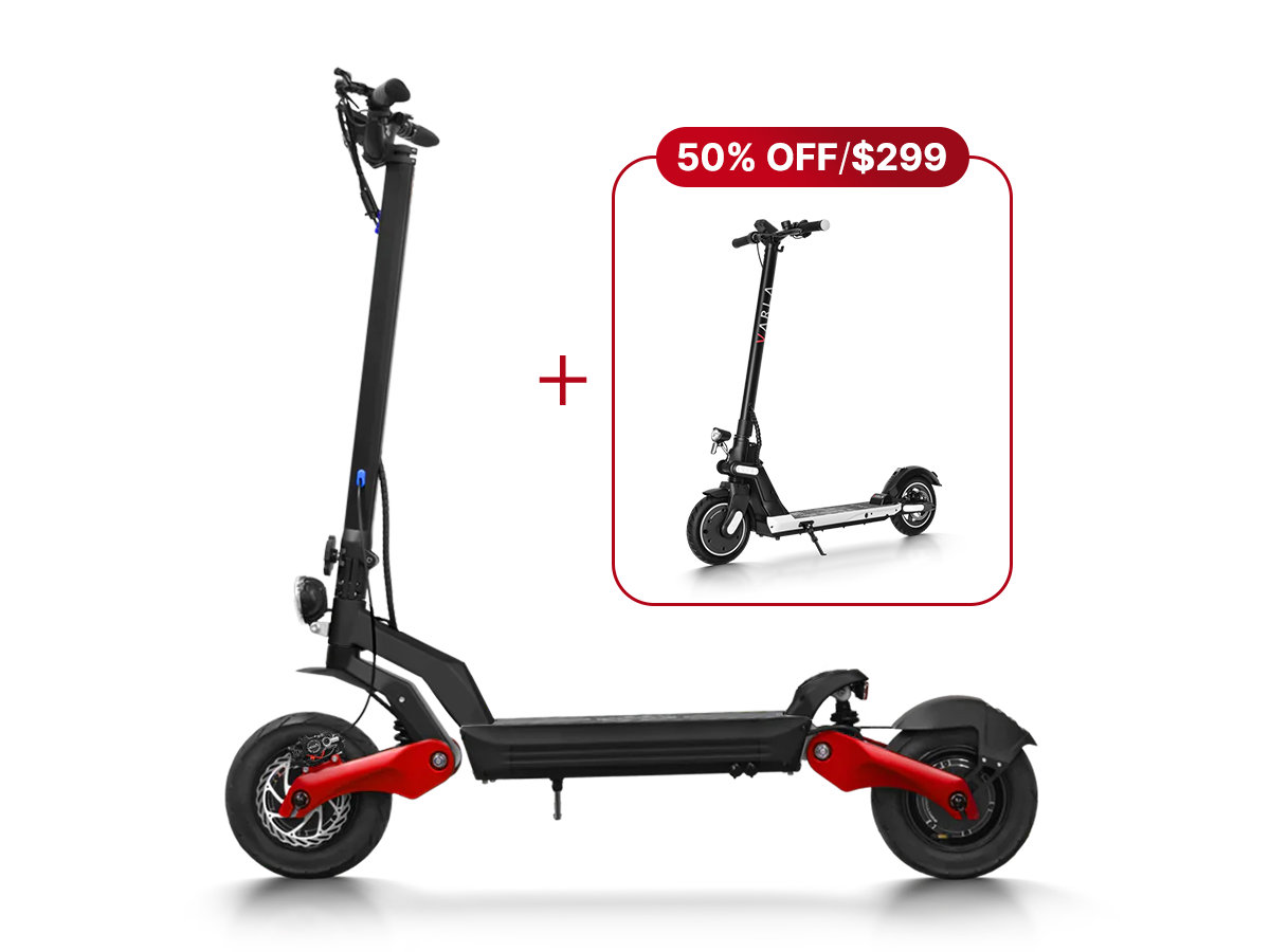Eagle One PRO All Terrains Electric Scooter WASP